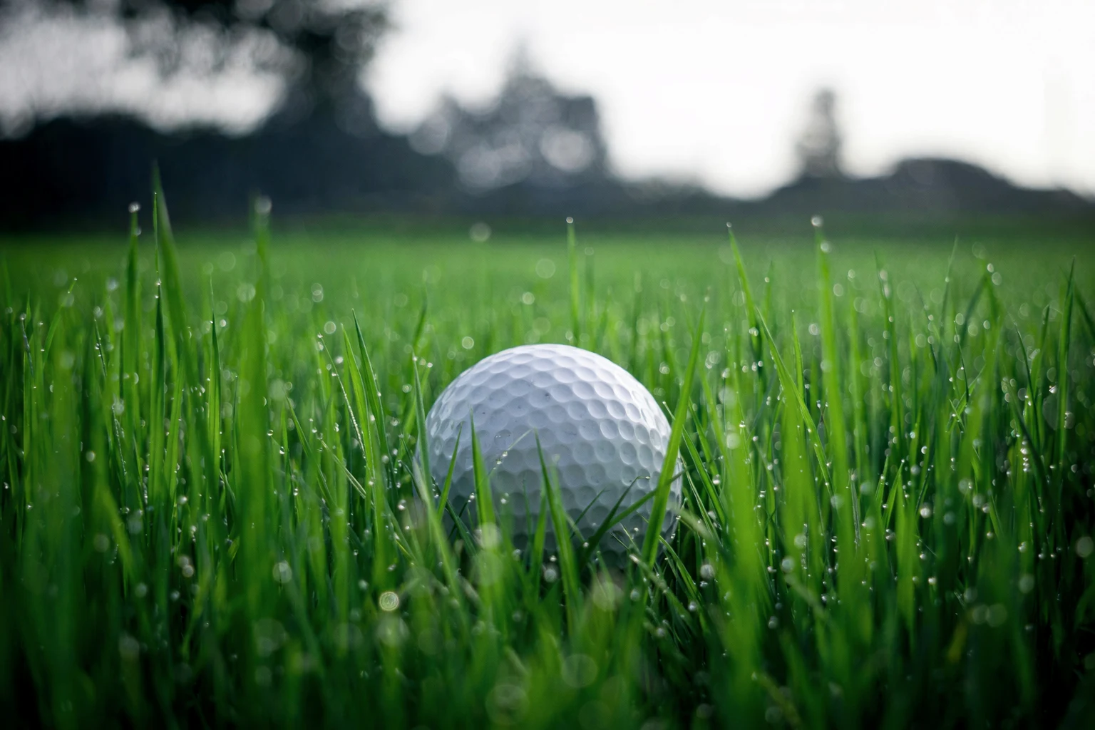 žogica v travi.webp