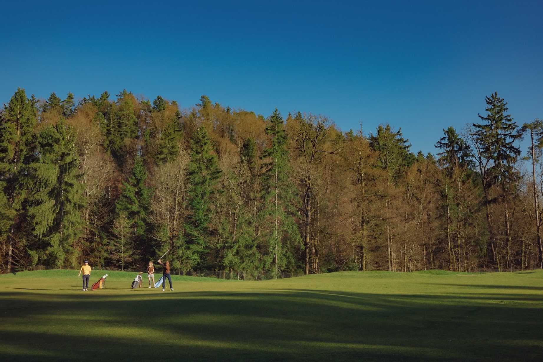 golf_forest_hero.jpg